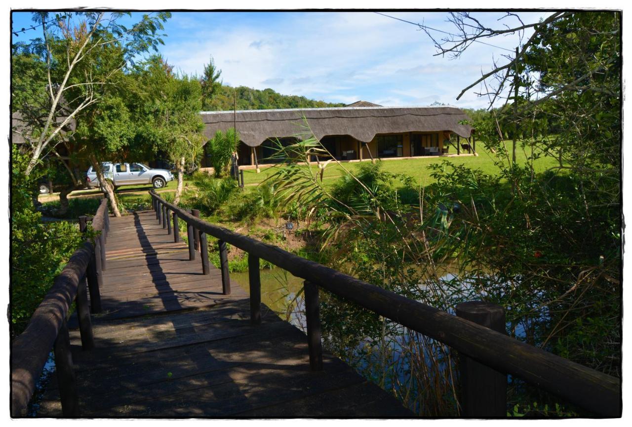 Premier Resort Mpongo Private Game Reserve Macleantown Kültér fotó